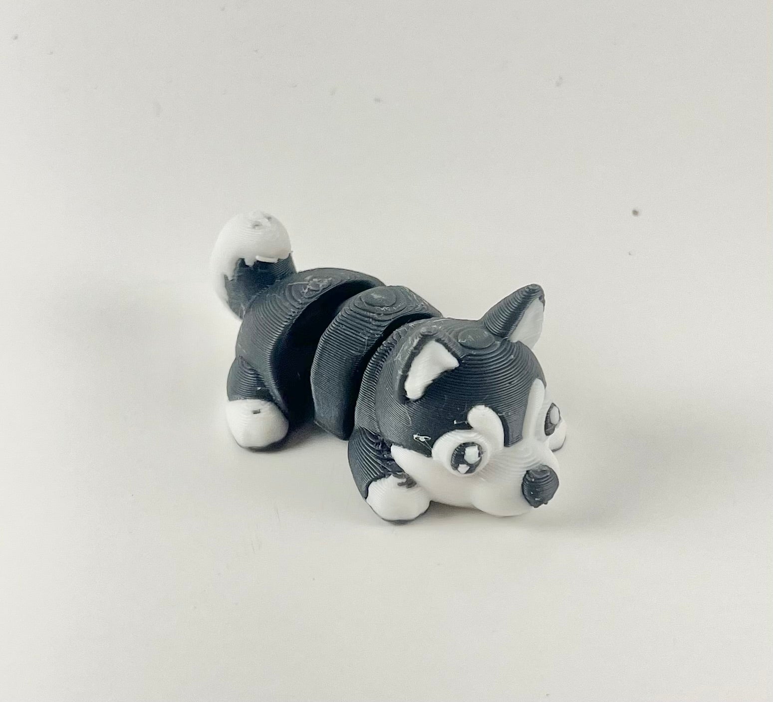 “Huckle” Siberian Husky flexi